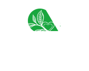 上海上门spa